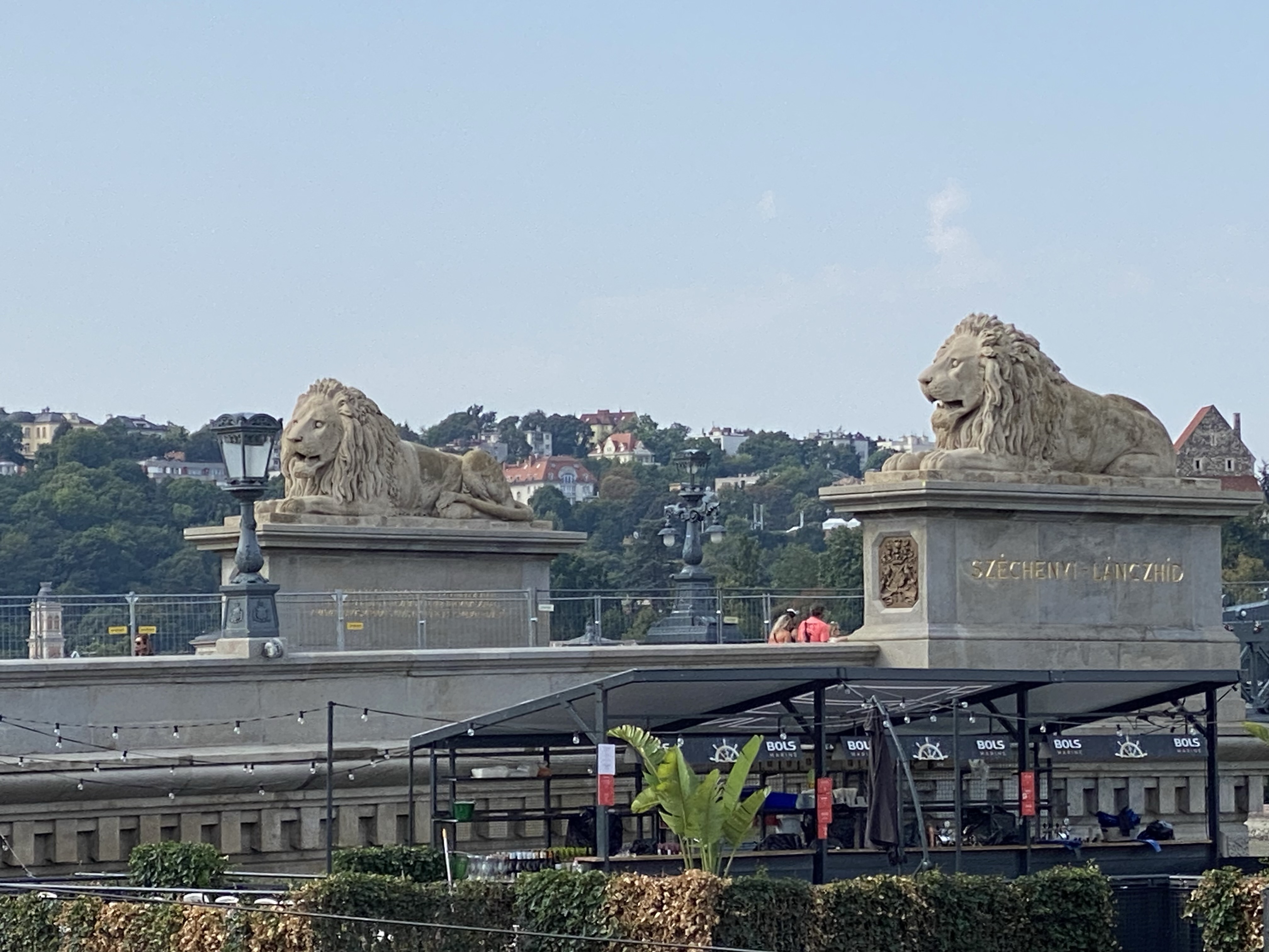 Lions at the Chain Bridge