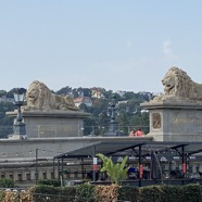 Lions at the Chain Bridge