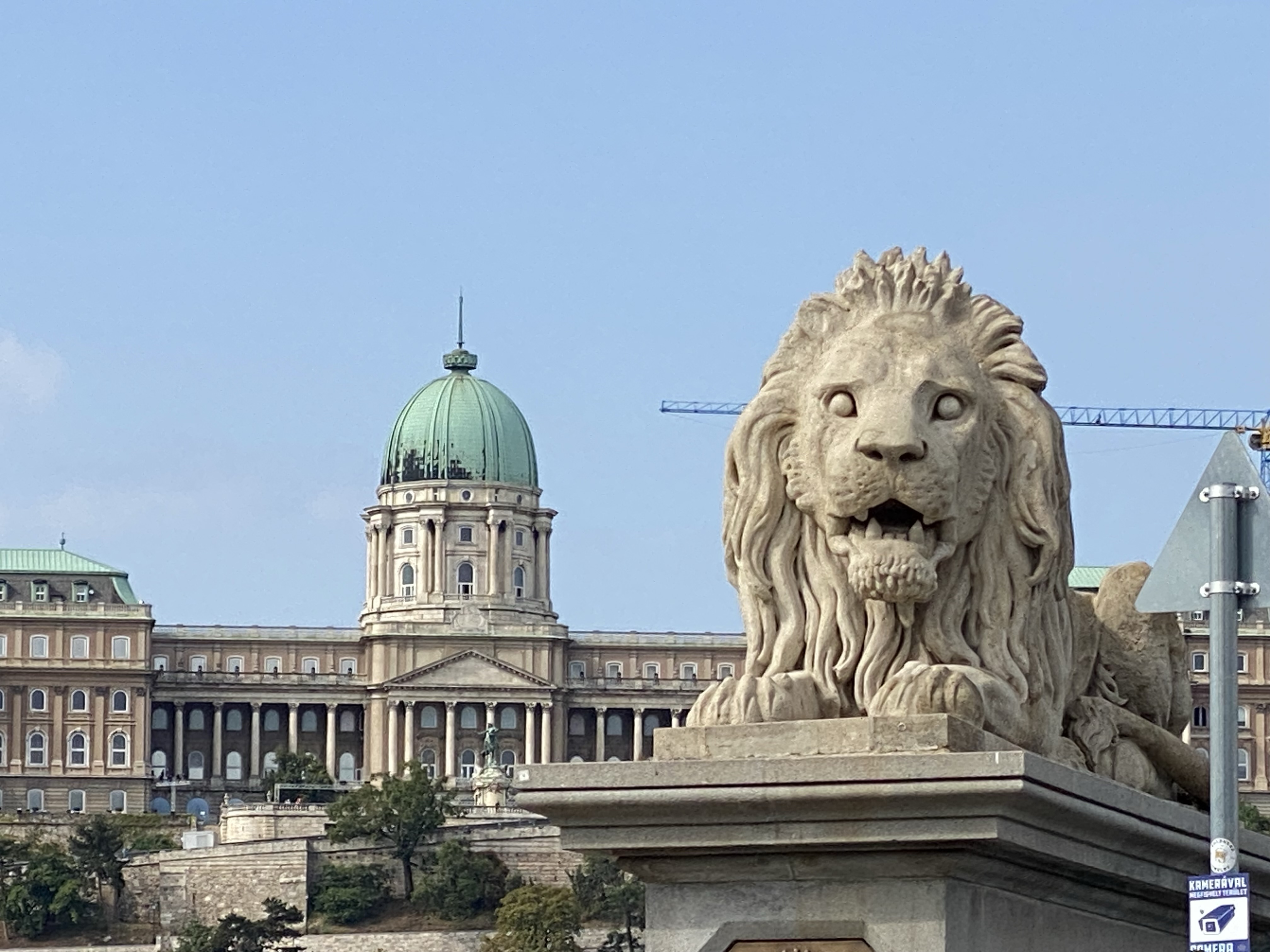 Lion and Buda Castle