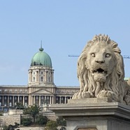 Lion and Buda Castle