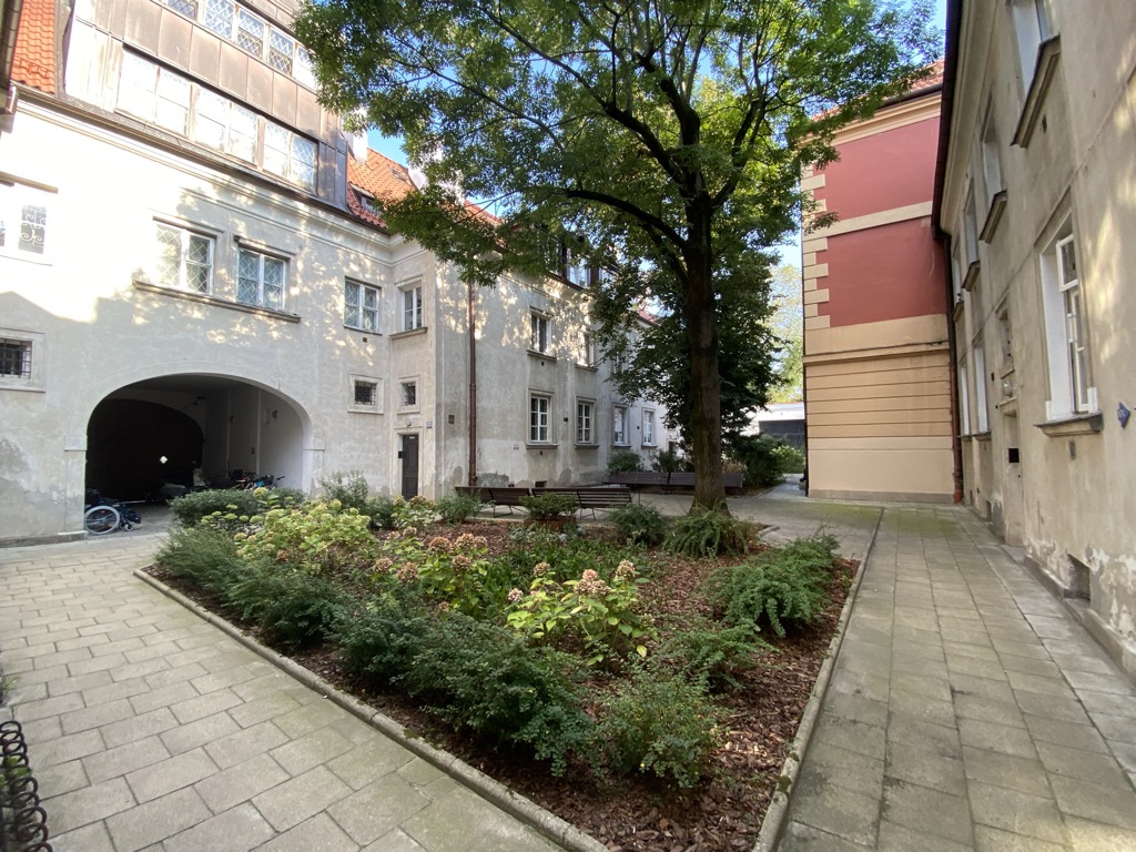 Our courtyard