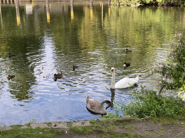 Tiergarten Park