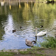 Tiergarten Park