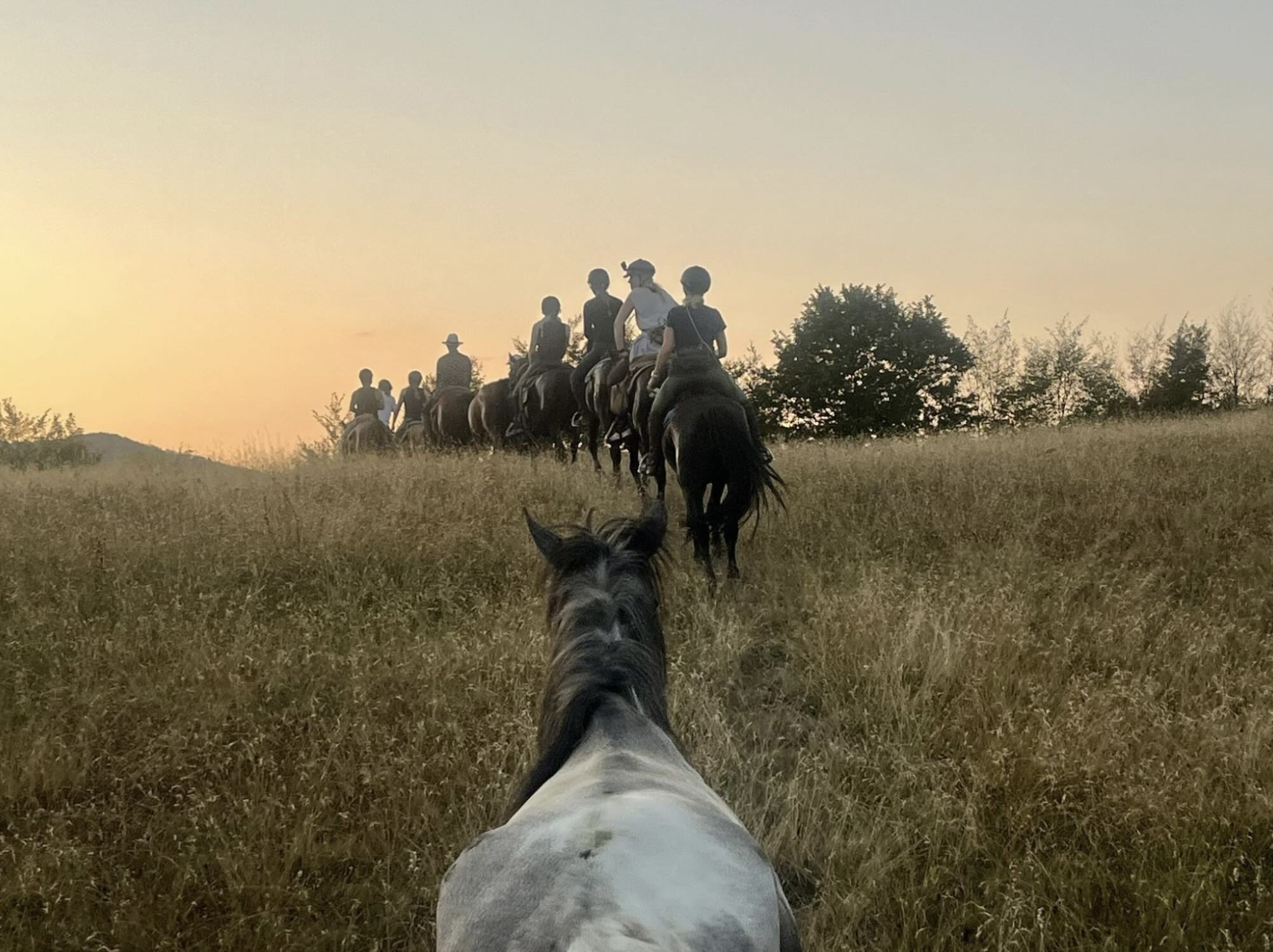 Horseback ride in Serbia