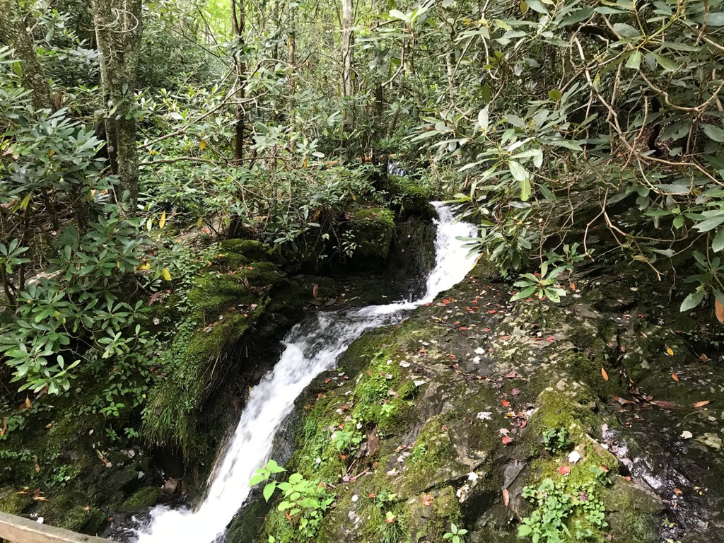 A waterfall in a forest  Description automatically generated with medium confidence