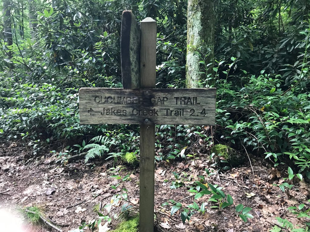 A sign in the woods  Description automatically generated with low confidence
