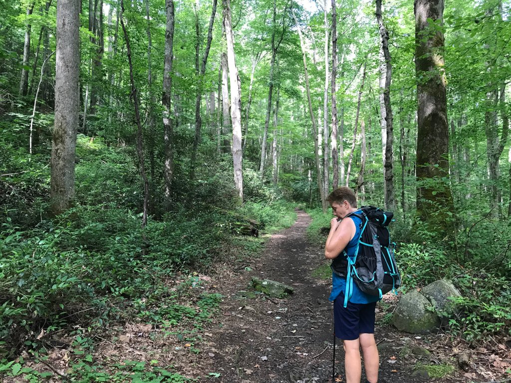 A person standing on a trail in the woods  Description automatically generated with low confidence
