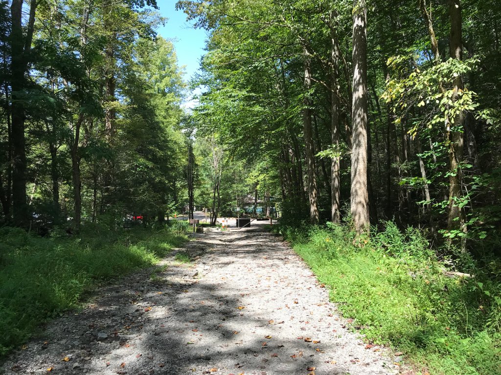 A dirt road with trees on either side of it  Description automatically generated with medium confidence