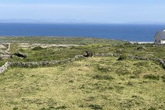 IMG_1785