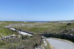 IMG_1806