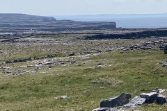 IMG_1808