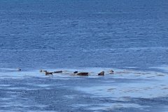 IMG_1865