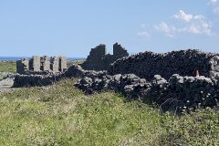 IMG_1869