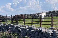 IMG_1870