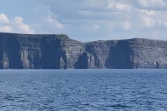 IMG_1892