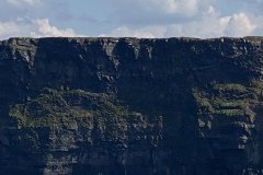 IMG_1899