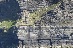 IMG_1914
