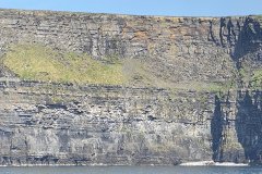 IMG_1919