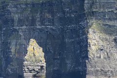 IMG_1926