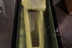 IMG_0239