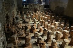 IMG_0266