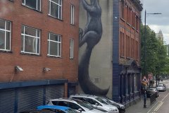 IMG_0902