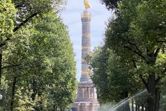 IMG_5453