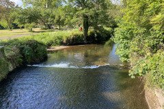 IMG_2476