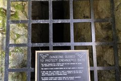 IMG_2491