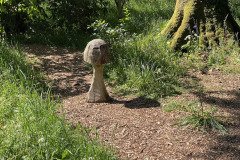 IMG_2537