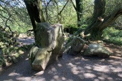 IMG_2577