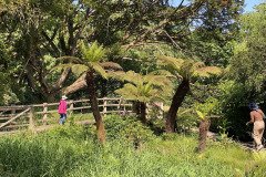 IMG_2614