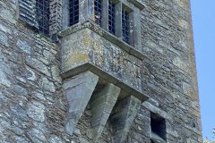 IMG_2626
