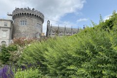 IMG_3384