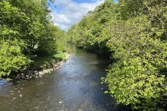 IMG_0928