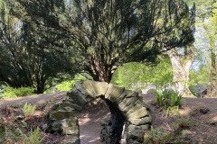 IMG_0938