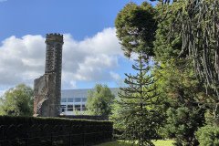 IMG_0939