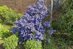IMG_0945
