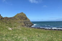 IMG_0978