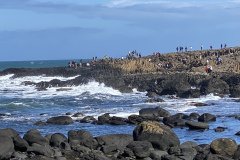 IMG_0986