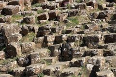 IMG_1013