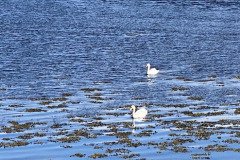 IMG_1519