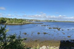 IMG_1534