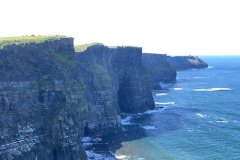 IMG_1551