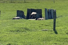 IMG_1597