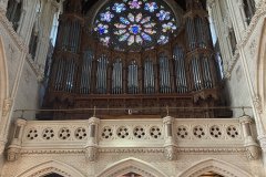 IMG_2817