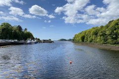 IMG_1226