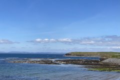 IMG_1231