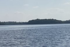IMG_1262