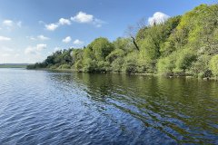 IMG_1268